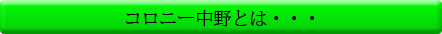 コロニー中野とは